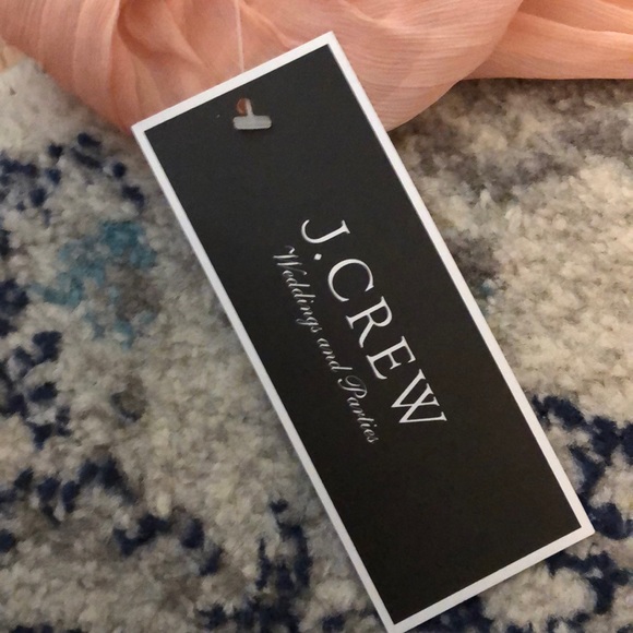 J Crew Blush Bridesmaids Dress - Picture 4 of 4